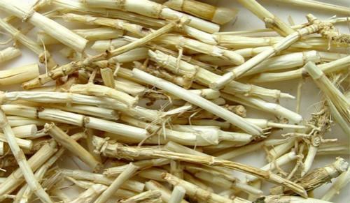 流鼻血的偏方 流鼻血的偏方