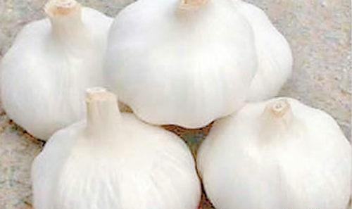 鼻炎的偏方 鼻炎的偏方