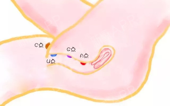 找准G点，才能让她high的尽兴！