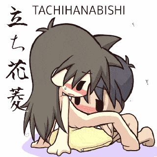 江户四十八手之立花菱