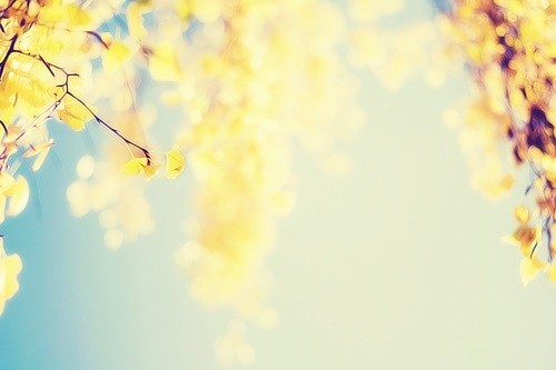 跑步机跑步和室外跑步有什么区别