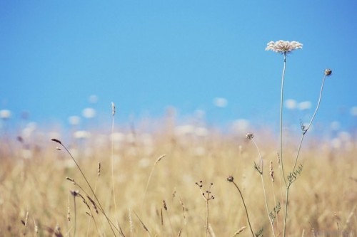 饭菜不能等凉了再放冰箱，一定要趁热！