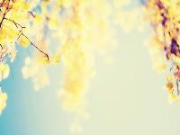 跑步机跑步和室外跑步有什么区别