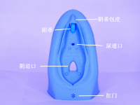 所有女生都应该知道的基础性知识