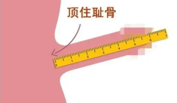 测量丁丁的正确方法