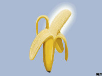 男性晨勃的时候，可以趁势爱爱吗