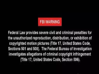 步兵和骑兵：老司机的世界里只有车牌号