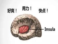 为什么很多人pa的时候喜欢爆粗口？