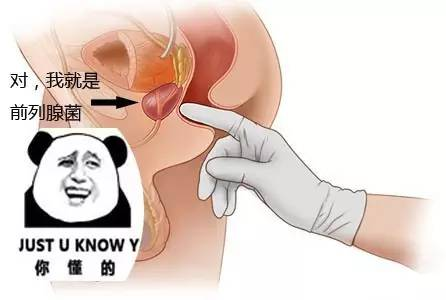 男性前列腺高潮