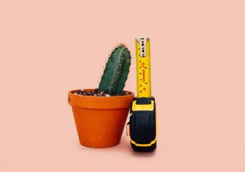 用这5个方法增大丁丁