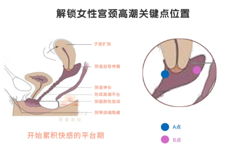 对性生活带来什么实际不同呢
