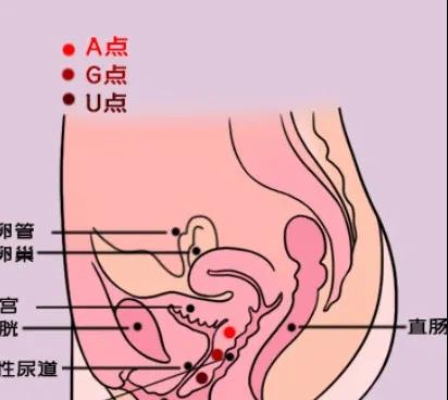 Y道、姬点、U点、A点