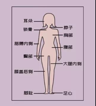 耳朵、脖子、上臂内侧