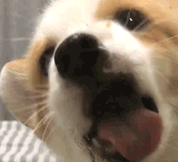 当然用换下面的效果更好