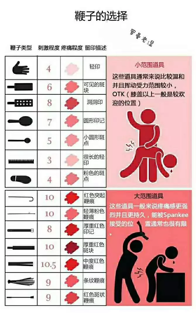 鞭子的类型和疼痛程度