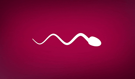 什么性爱姿势最容易怀孕