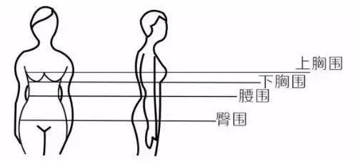 如何区分ABCD等罩杯