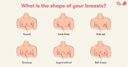 什么是完美胸型呢