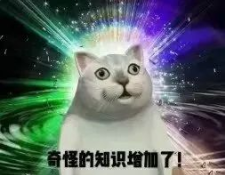 忍住不biu的样子!