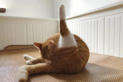 女朋友私处有异味是什么原因