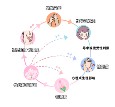 女生的杏愉悦是什么样的