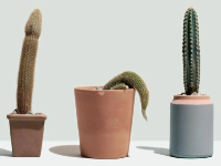 老公中途疲软，硬度不够怎么办