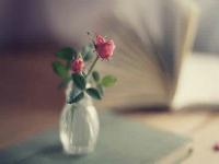 简简单单 3 个姿势，拯救腰痛的你