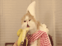 女朋友不愿意口怎么办，啪啪时如何让她愿意“上口”？