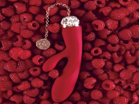 新手如何购买你的第一支振动棒 认清需求