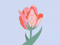 让女人高潮迭起的秘密，都在这里