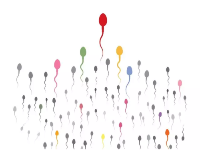 频繁遗精性能力越强吗？该如何改善频繁遗精