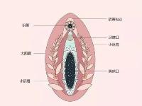 女生如何通过夹腿获得快乐