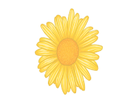 提肛真的能提高性能力吗