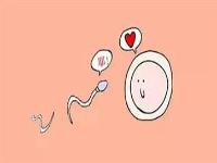 什么姿势能增加怀孕几率？受孕最佳体位图解