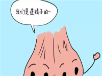 男人的蛋蛋你真的了解吗？男人睾丸的真实作用