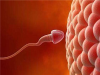 男人精量少?你可能忽略了这3个祸根!