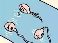 精子质量差怎么办 如何提高精子质量