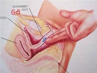 神秘的女性G点在哪里?手把手教你攻克女人的G点