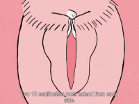 女生经常“自我愉悦”，有哪些好处