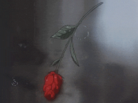 女生同房后不洗不尿，后果竟然这么严重