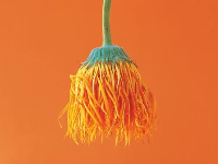 我怀疑自己性冷淡怎么办