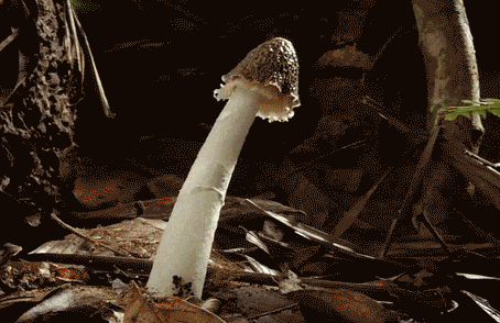 让男朋友一秒变硬的10种方法