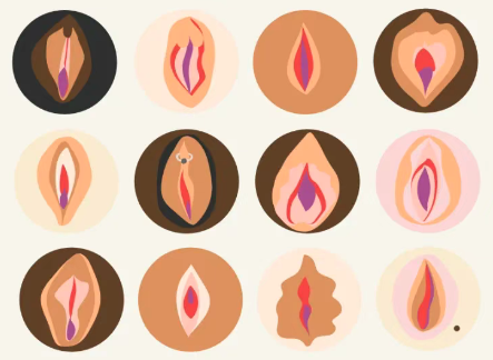 私处越粉越好？女孩子外阴长什么样才正常