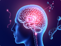 为什么人类会有情感？探索人类情感的奥秘