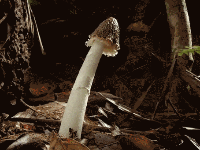 让男朋友一秒变硬的10种方法，亲测超管用！