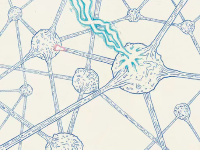 爽到头皮发麻！这种g潮是谁还没体验过