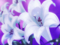 如何完美地进行第一次爱爱？来自20位女性的经验分享