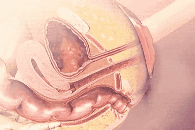 啪啪啪会夹的女生有多爽？看看男生怎么说