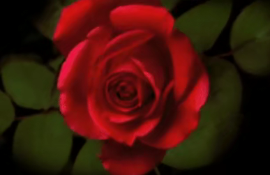 女生被顶到花心是一种怎样的体验