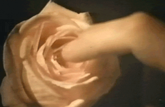 女性自慰与性生活哪个更爽？女性如何安全舒适自慰